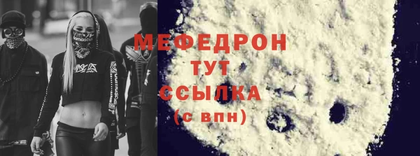индика Абаза