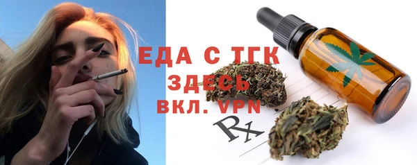 индика Абаза
