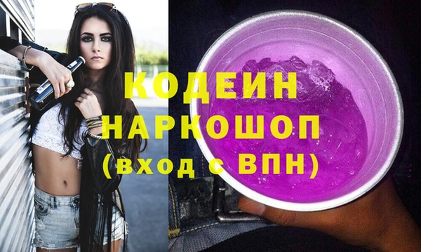 индика Абаза
