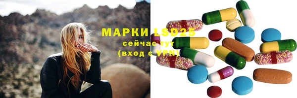 индика Абаза
