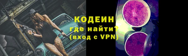 индика Абаза