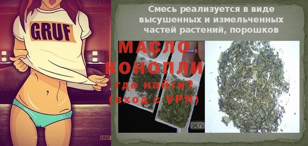 индика Абаза