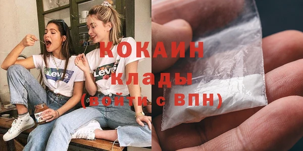 шишки Пестово