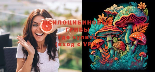 spice Абинск