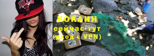 ПСИЛОЦИБИНОВЫЕ ГРИБЫ Пересвет
