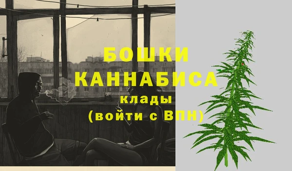 шишки Пестово