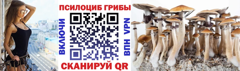 Псилоцибиновые грибы Psilocybe  это Telegram  Исилькуль 